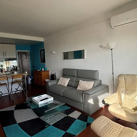 Apartamento Beau 2 Pièces Climatisé Avec Wifi - Animaux Acceptés - Fr-1-833-4