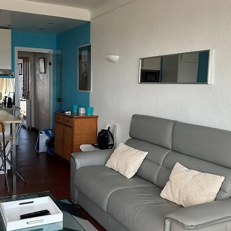 Beau 2 Pieces Climatise Avec Wifi - Animaux Acceptes - Fr-1-833-4 Lägenhet Canet-en-Roussillon