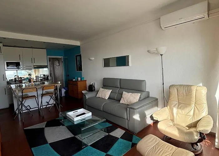 Lägenhet Beau 2 Pieces Climatise Avec Wifi - Animaux Acceptes - Fr-1-833-4